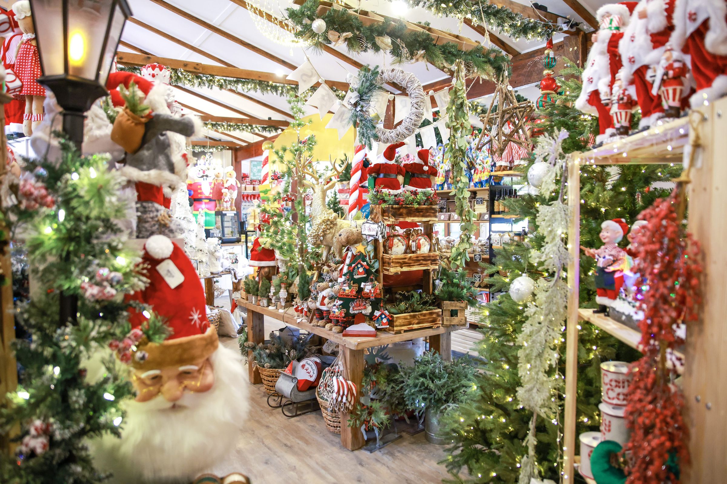 Granite Belt Christmas Farm — Applethorpe