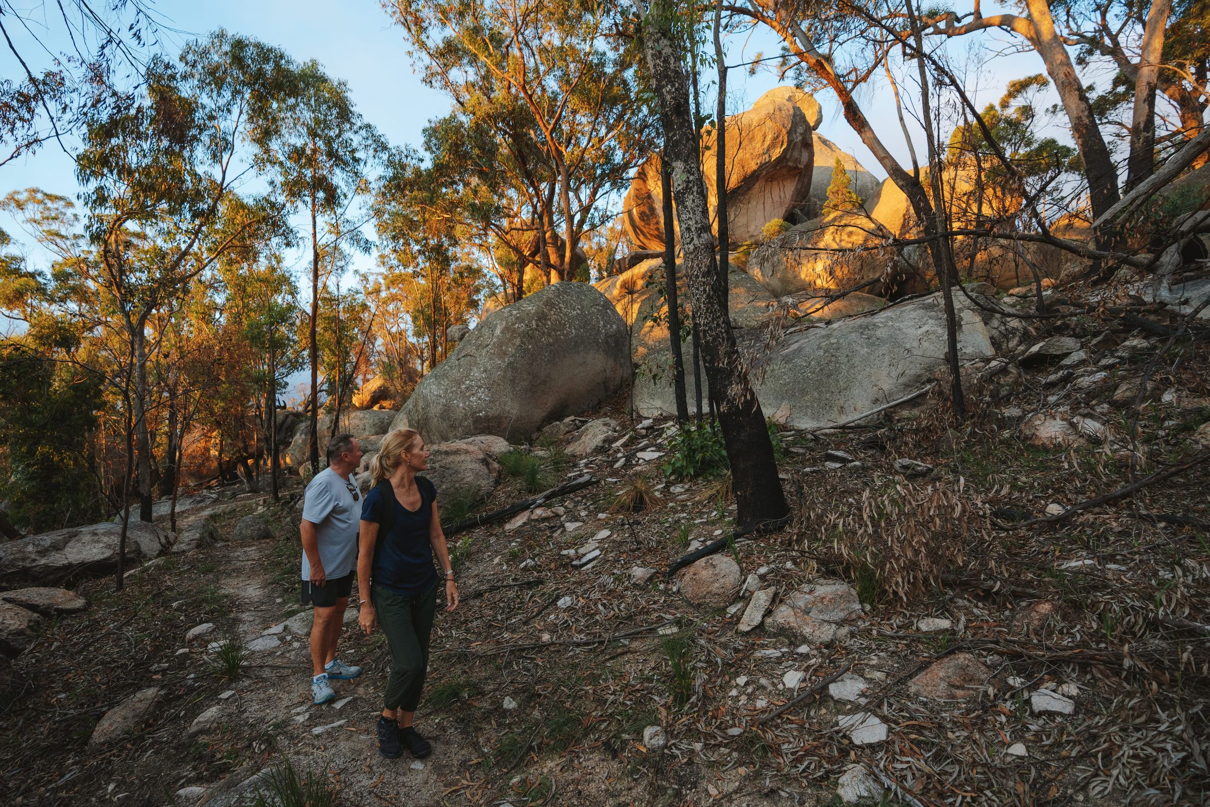 Girraween National Park — Girraween National Park